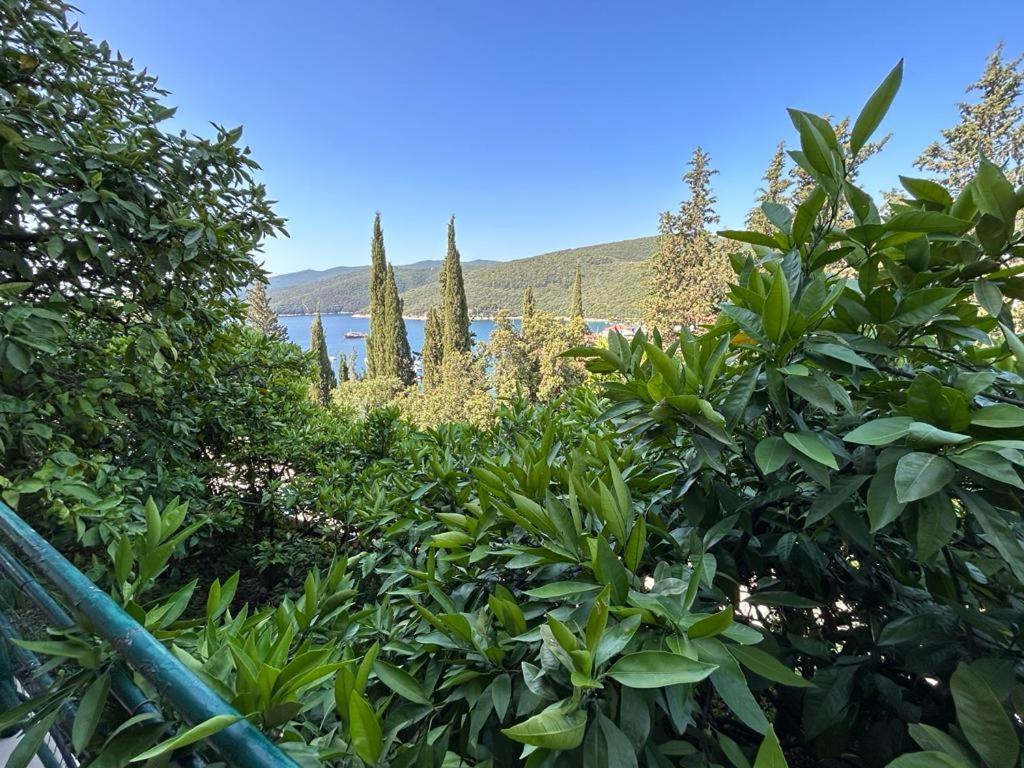 Apartment Near The Sea 650 Rabac Eksteriør billede