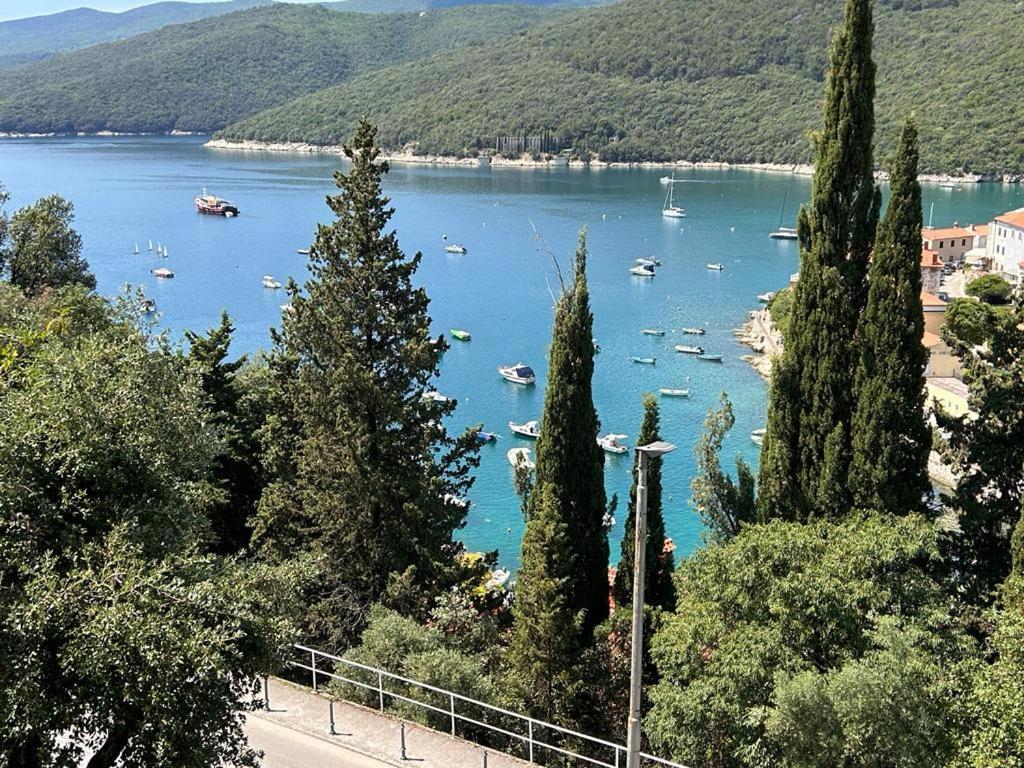 Apartment Near The Sea 650 Rabac Eksteriør billede